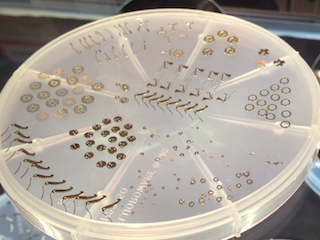 Collection of singulated watch components